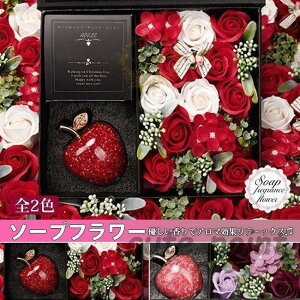 ̓ 2021 Mtg \[vt[ ԑ o u[P {[ Ό   L ͂Ȃ v[