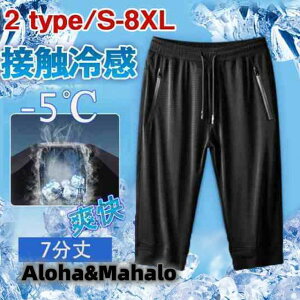 V[gpc Y ڐG⊴ z 7 pc bV G Xgb` 傫TCY hC W[W X|[cEFA