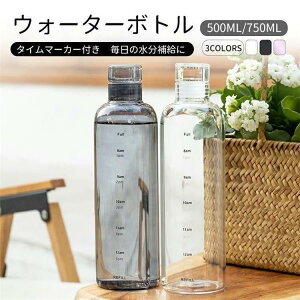  EH[^[{g 500ML 750ML KX Jo[t 􂢂₷ ^C}[J[ Ԗڐ  킢 Vv ؍ X|[c{g ڐ {