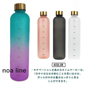 ^C}[J[t EH[^[{g X|[cEH[^[{g  1000ml 1bg  y Of[VJ[ ⋋ W