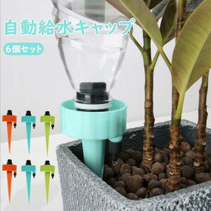 Lbv 6Zbg 6PCS  蓖   A U  } ʒ߉\ {gΉ | K[fjO