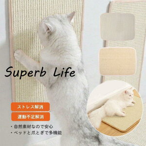 Lp ܌ }bg   h~ \t@[Jo[ V[g ܂Ƃ    Ƌ bNX TCU  J[ybg L pi Lbg