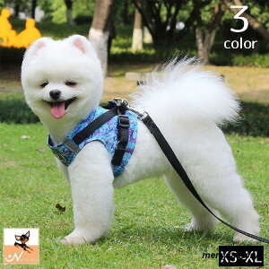 n[lX [h Zbg Ckp p 񂿂  xXg  ÈłŌ C Cm o| U  킢 S Ckpi