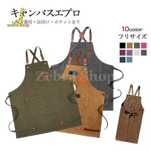 Gv LoX Ɨp El jp [NGv fB[X Y JtF X JWA t[TCY 2^Cv3Colors hV̓ 蕨 