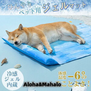 ybgN[}bg p WF  L ybg N[}bg ΍ ⊴ MǑ΍ Ђ ڐG⊴  ΍ pObY