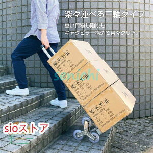 L[J[g nhgbN Ki O ܂肽 y i  4 360x] É ^^C  ו^ Ɩp z ނ AEghA
