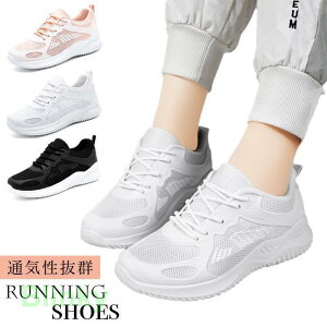 jOV[Y fB[X Xj[J[ L  ʋC ^ C    y y Vv 