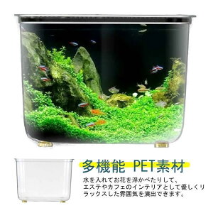   琅 PETf AN ϗtA CeA e e[u ANAE {E vX`bN _J  CeA e