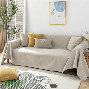}`Jo[ Lg 180*300cm k LeBO n  Rbg ȓ 􂦂 EHbVu   ÓdCh~ \t@Jo[ O