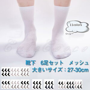 Xj[J[\bNX Y C bV n 6Zbg 傫TCYF27.0-30.0cm  ₷ Vv ėp 21NĐV ꂢ 