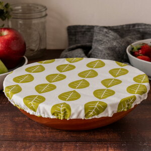 {EJo[ bv  27 cm 1 GR ėp I[KjbNRbg Zbg IׂfUC Hiۑ 킢  NUTS NX}X nEB v[g NUTS NUbowlxl