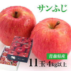   ό` 11 4kgȏ ь Tӂ XY XY X ӂ TtW Tӂ TtW XYS ʕ S X p t[c t