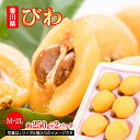 茂木 びわ 香川県 2パック (約250g×2パック) 枇杷 ビワ フルーツギフト 実 甘い 美味しい おいしい 果物ギフト 果物 …