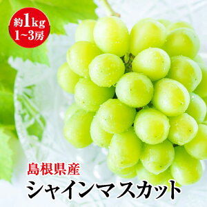 VC}XJbg 1.0kg(2-3[) TCYsI  o_ o_sY Ԃǂ Mtg uhE  ƒp Â t[c  ʕ t[c ̃Mtg t[cMt