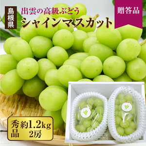 Gi 嗱 1.2kg(2[) VC}XJbg o_sY Ԃǂ Mtg uhE  p hV t[c  ʕ ō  ʕ Ⴂ܂ i ̃Mt
