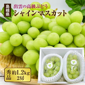 4cƓȓɔ 嗱 Gi 1.2kg(2[) VC}XJbg o_sY Ԃǂ Mtg uhE  p t[c  hV ʕ  ʕ Ⴂ܂ 
