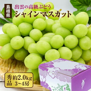 Gi 2.0kg(3~4[) VC}XJbg o_sY Ԃǂ Mtg uhE  p t[c  ʕ Ⴂ܂ i ̃Mtg t[c t[cMt