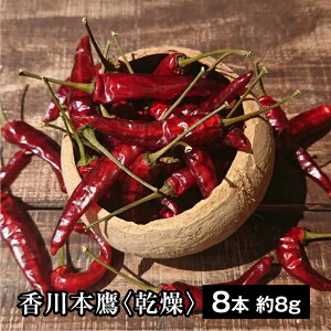 y8{ 8gz{iق񂽂jł̊@h̓hqI hq Ƃ炵 YƂ炵  쌧 Y 쌧Y Y h h Md A  