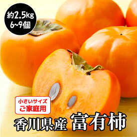 富有柿 柿 富有 千疋の富有柿 香川県産 約2.5kg 家庭用 小さなサイズ 不揃い 香川県 果物 かき 香川 訳あり 秋のフルーツ 秋の果物 美味しいフルーツ フルーツ お取り寄せ 旬のフルーツ お取り寄せ果物 美味しい 甘い 家庭用フルーツ わけあり果物 訳アリフルーツ