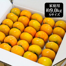 富有柿 sサイズ 約9.0kg 柿 富有 化粧箱入 香川県産 香川県 果物 かき 香川 贈答果物 贈答用 秋のフルーツ 秋の果物 美味しいフルーツ お取り寄せ 旬のフルーツ お取り寄せ果物 美味しい 甘い お歳暮 フルーツ 果物 取り寄せ くだものギフト