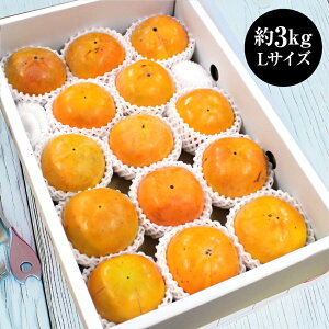 xL` LTCY  14 ` xL 쌧Y 3.0kg 쌧 ʕ   ʕ p H̃t[c H̉ʕ t[c  {̃t[c 񂹉ʕ  Â 