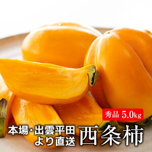 ` ` Gi Y 5.0kg  ʕ   a` a H̃t[c H̉ʕ ʕ t[c t[c  {̃t[c 񂹉ʕ  