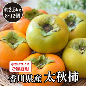 \ H` ` H D̑H` 쌧Y 2.5kg 쌧 ʕ   ƒp ȃTCY s H̃t[c H̉ʕ H̖o t[c t[c {̉ʕ  {