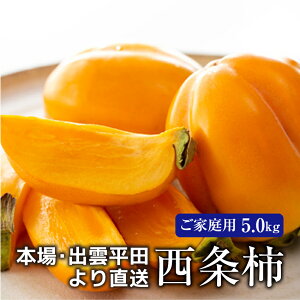 ` ` ƒp Y 5.0kg 쌧 ʕ   a H̃t[c H̉ʕ t[c t[c  {̃t[c 񂹉ʕ  Â ƒppt