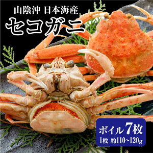 yX[p[Z[z ZRKjie/Ɂj 䥂 {C 7(1110-120g) I  Kj ZRI I ZCRKj Kj ZCRI 䥂ŊI {CJj {C