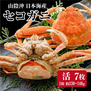 yX[p[Z[z ZRKjie/Ɂj  7(1130-140g) I  Kj ZRI I ZCRKj Kj ZCRI ZCRJj  pJj 