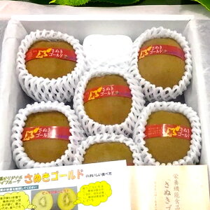 【約1.6kg】香川県産 大玉 高級 3L 4L さぬきゴールド キウイ (8-9個入) さぬきゴールドキウイ 化粧箱 香川 ゴールドキウイ キウイフルーツ M-Sサイズ 秋のフルーツ 秋の果物 美味しいフルーツ フ