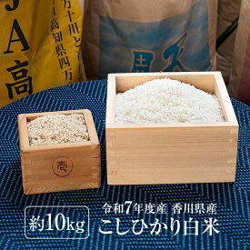 新米 10kg 令和7年産 コシヒカリ (5kg×2袋) 米 香川県産 こしひかり お米10キロ コシヒカリ10Kg 白米 こしひかり10キロ おこめ10kg お米10きろ こめ10k 米10kg 白米10キロ 精米 お米 国産 こめ コメ ギフト 敬老の日 美味しい米 令和7年 送料無料