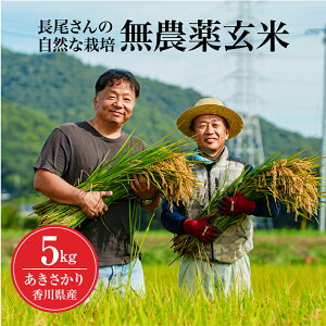 cƓ܂ɔ _  V ߘa7NY ALTJ 5kg Ε  쌧Y  5L  S S 5L 5L S S    Yn 5