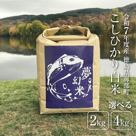 新米 令和7年産 コシヒカリ 2kg 4kg お歳暮 米 徳島県産 お米 白米 精米 徳島 新米2キロ 4キロ こしひかり こしひかり2キロ 白米2キロ 精米2k 精米2キロ おいしいお米 美味しい米 産地直送 国産 令和6年度新米 ギフト おいしい 特別栽培米こしひかり 送料無料