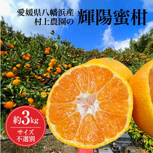 Gi 3.0kg QY l ݂ k (TCYsI) Pz ݂ ~J Q k  p  Â x x Â݂ Â~J ݂  ϔ Yn