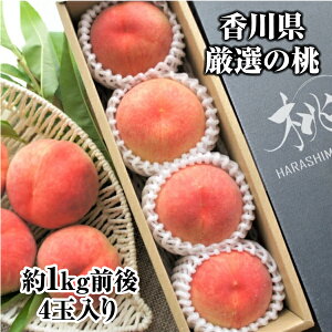 �\�� �y��1kg�O��(4�ʓ�)�z���쌧�Y �� ���x12�x�ȏ� ���I�̓� �������� ���� �G�i ���� ���� �Â��� �Â� �������� �������t���[�c �䋟 �ʕ� �����i �i�� ������ �ăM�t�g �t���[�c���� �t��