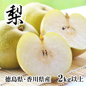 3cƓ܂łɔ  Ȃ Mtg   2kgȏ 5`7  ʕ K L l iV {̃t[c  ʕ i t[c t[c蕨 ̃M
