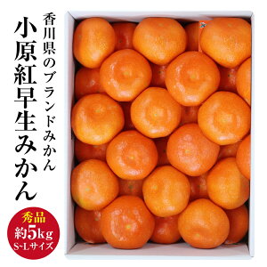 \ g  Gi 5.0kg(S`LTCY) 쌧Y g݂ ݂ g ʕMtg ̃Mtg p݂ ʕ  t[c i Ε {  