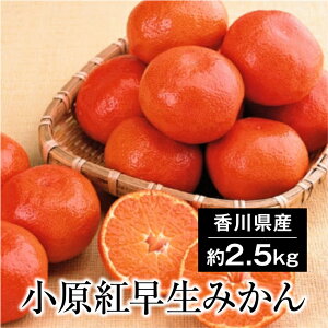 g ݂  2.5kg(S`LTCY) 쌧Y g݂ g݂ g ʕMtg ̃Mtg p݂ ʕ t[c i ƒp {   