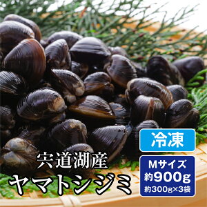  ΎY VR }gVW~ 900g (300g×3) MTCY ΂ ΃VW~ a   aVW~ Ⓚ Y Ⓚ VW~ ݗⓀ   L VW~Y 