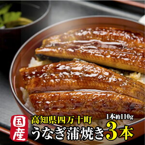 国産 高級うなぎ うなぎ 蒲焼き 高知県産【鰻 約110g×3本】 鰻 高知県 四万十うなぎ ウナギ 専門店 高知県四万十川 土用の丑の日 高知 四万十ウナギ 高級 冷凍 うなぎギフト 冷凍ウナギ プレ