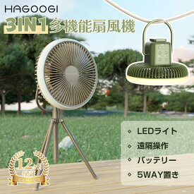 【2025革新型】扇風機 アウトドア 首振り キャンプ 5in1 卓上 アウトドアファン usb充電 超大風量 低騒音 LEDライト 折り畳み可 タイマー機能 長時間利用可能 自立 壁掛け 吊り下げ 収納ケース リモコン付 熱中症対策