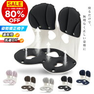 【楽天1位＊赤字覚悟の大放出】サポートチェア 姿勢サポートクッション 骨盤サポートチェア 腰ケア 猫背…
