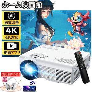 TVځ^vWFN^[ ƒp ^ 4KΉ 13000LM 1080P掿  5G&2.4G wi-fi 6 Ή V z[VA^[