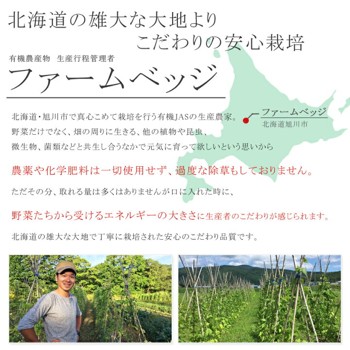 楽天市場 国産ハーブ 青じそ シソ茶 5g農薬不使用 安心 安全品質 純国産の北海道産100 青しそ 青ジソ 青紫蘇 大葉 紫蘇 しそ茶 しそ葉茶 紫蘇茶 スパイスハーブ ハーブティー サンタローサ