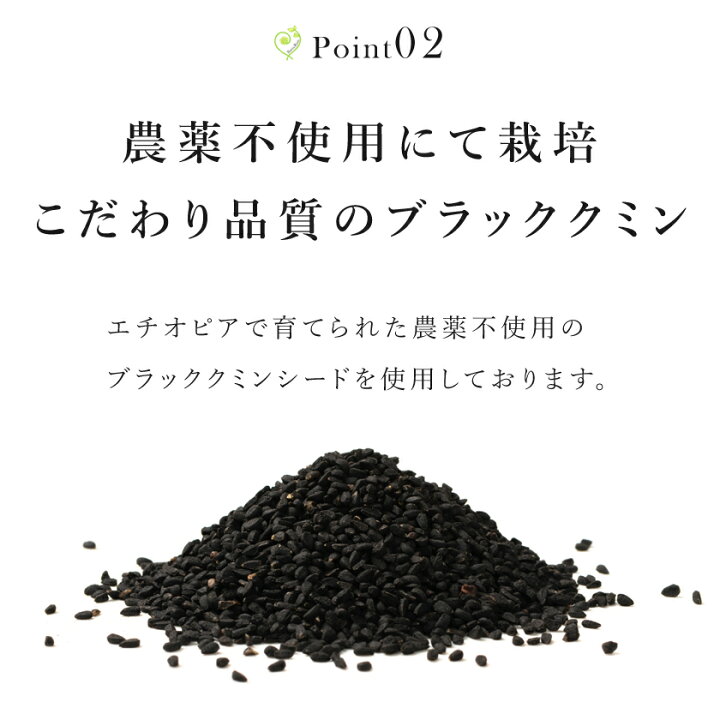 メール便送料無料 第1位獲得ブラッククミン シード ローマンコリアンダー 100g 香辛料 匂黒種草 フェアトレード ニゲラ 送料無料 スーパーフード 農薬不使用カロンジ サティバ ブラックセサミ オニオンシードスパイスハーブ ブラックシード