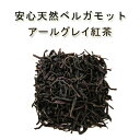 【有機アールグレイ紅茶】 茶葉80g or ティーバック2g×20個♪有機JAS認証 無化学肥料 オーガニック【最高級 天然ベルガモット アールグレイ アイステ...