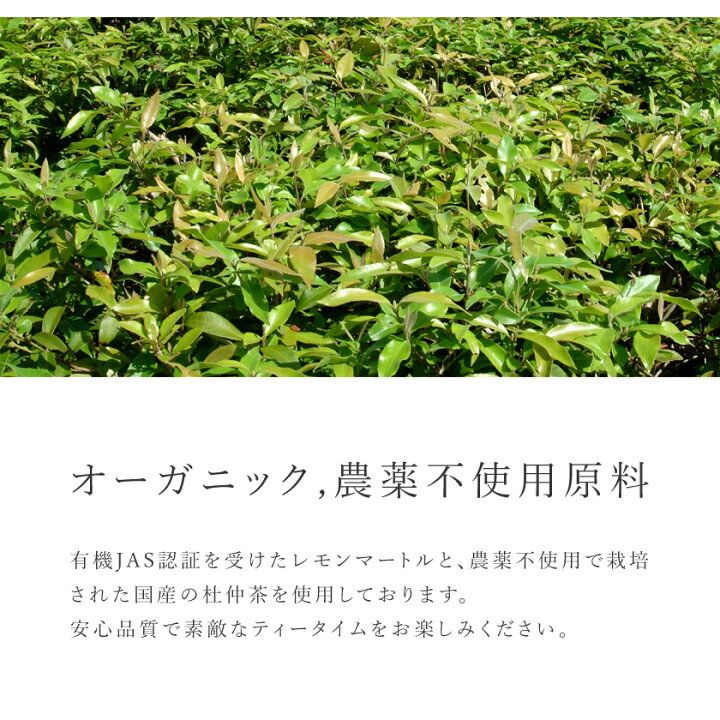 国産エキナセア・プルプレア ティー ２０g 農薬: 栽培期間中不使用 通販