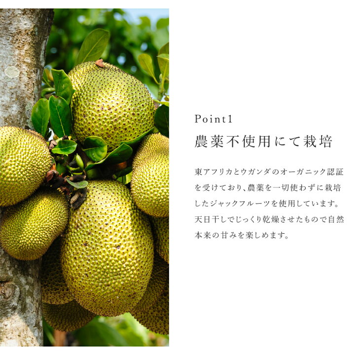 楽天市場 農薬不使用 純粋 ドライ ジャックフルーツ 80g パラミツ 無添加砂糖不使用 無漂白 保存食 非常食 スーパーフード ドライフルーツ ハラミツp08apr16 サンタローサ