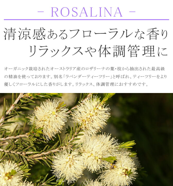楽天市場】ロザリーナ 精油 10ml ロザリナオーガニック精油 USDAオーガニック認証 NASAAオーガニック認証 天然成分100% ピュアロサリーナ ラベンダーティートゥリー エッセンシャルオイル アロマオイル送料無料05P03Dec16 : サンタローサ 楽天市場】ロザリーナ 精油 10ml ロザリナオーガニック精油 USDAオーガニック認証 NASAAオーガニック認証 天然成分100% ピュアロサリーナ ラベンダーティートゥリー エッセンシャルオイル アロマオイル送料無料05P03Dec16 : サンタローサ